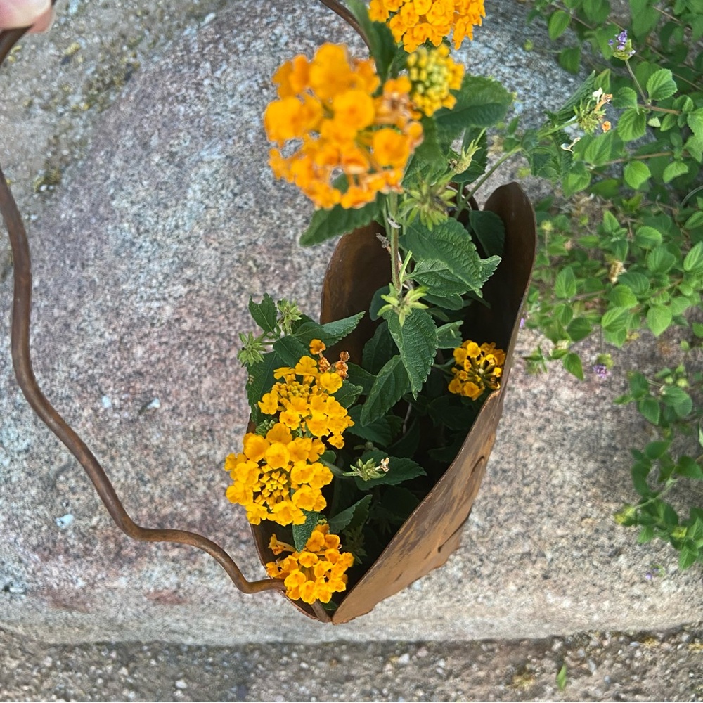 Rustic Metal Heart Flower/Plant Holder - Garden Art, 20" Including Hanger - Picture 7 of 11